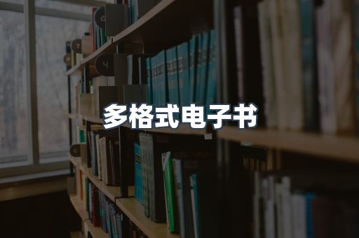 多格式电子书